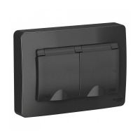 Розетка 2-м СП Blanca 16А IP44 250В с заземл. защ. шторки с крышкой антрацит SchE BLNRS441126